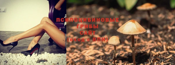 бутират Горняк