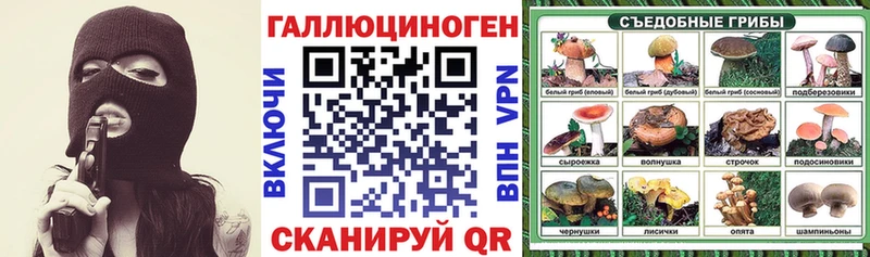Галлюциногенные грибы Psilocybe  Задонск 