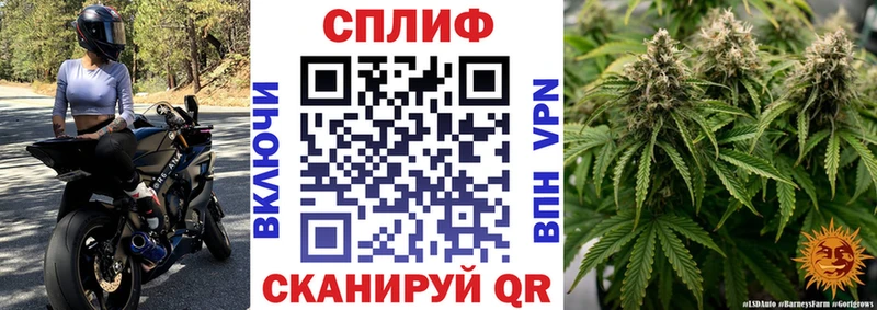 Шишки марихуана Amnesia Задонск